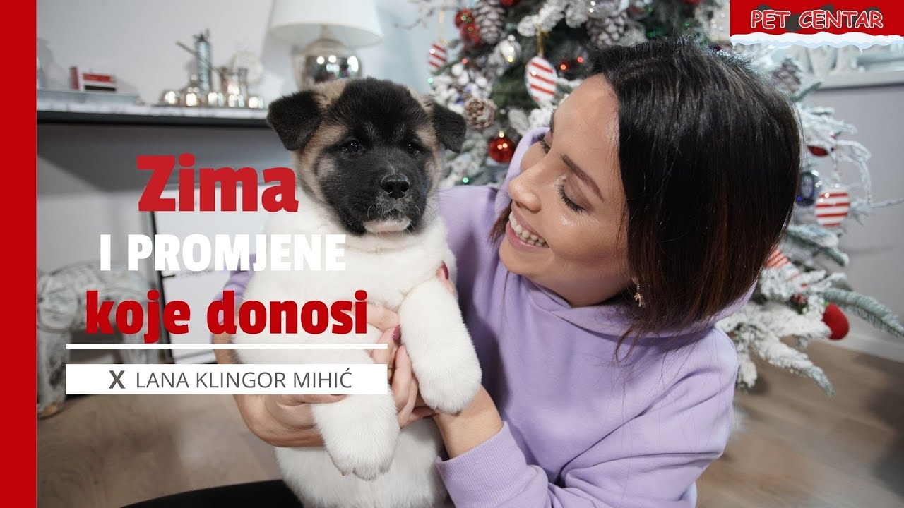 Zima i promjene koje donosi
