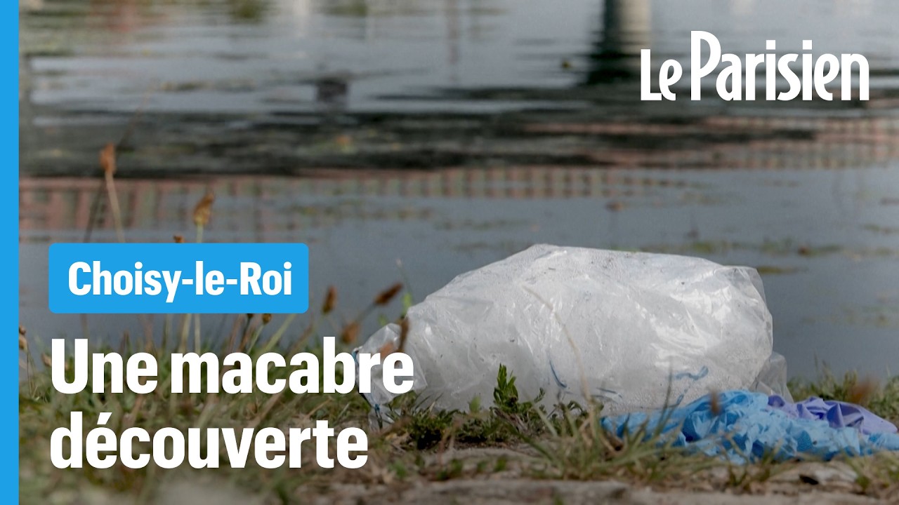 Quatre corps retrouvés au même endroit de la Seine à Choisy-le-Roi