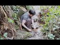 Survival Instinct In Tropical Rainforest, Living Alone In The Wilderness (episode 43 )