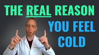 Why You Feel Cold All The Time (It’s NOT Your Thyroid!)