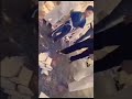 اممممم اممممم