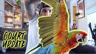 Court Update on my Birds being too loud and soon meeting with Birdtricks