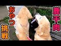 初めて鹿干肉おやつ挑戦したゴールデンレトリバー★子犬★シニア犬