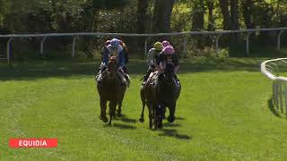 Vidéo de la course PMU PRIX DE VIEILLEVIGNE