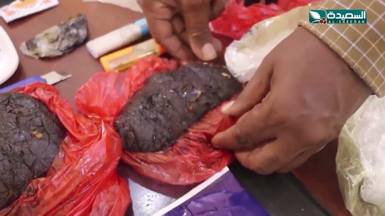 مداهمات أمنية لاوكار عصابات المخدرات في ساحل حضرموت