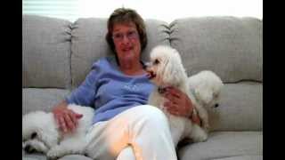 Pam Goldman on Charitable Gift Annuities by AKC Canine Health Foundation 133 views 11 years ago 1 minute, 41 seconds