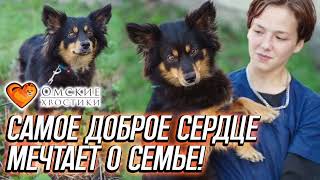 Самое доброе сердце мечтает о семье! | Джульетта