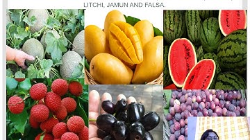 Class  IV  Science,  Chapter - 3  (Flowers and Fruits)   part - 4 FRUITS  by Jauli Sen