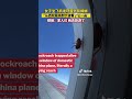 Cockroach trapped alive in window of plane, literally a flying roach