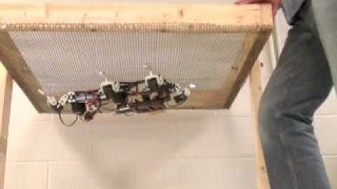 Legged Robot inverted walking