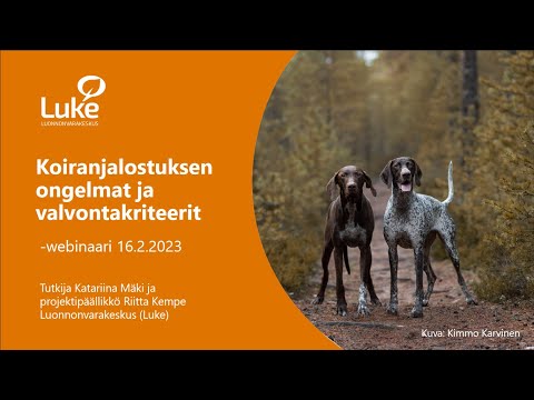 Video: Koiran pysäyttäminen äänistä