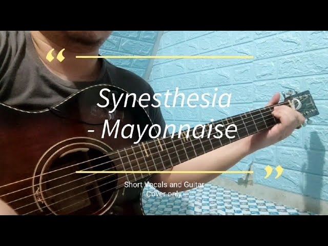 Synesthesia - Mayonnaise | Short Guitar/Song Cover