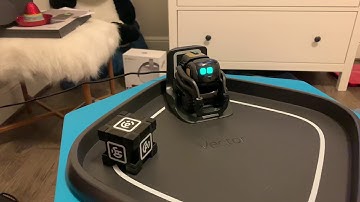 Vector’s First Day - Not Working