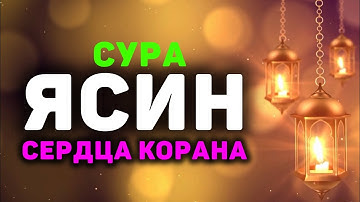 Сура Ясин سورة يس сердца Корана, очень красивое чтение, слушать обязательно!