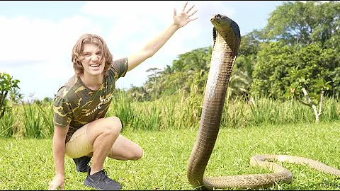 Surviving the JUNGLE of KING COBRA Indonesia! (Ven...