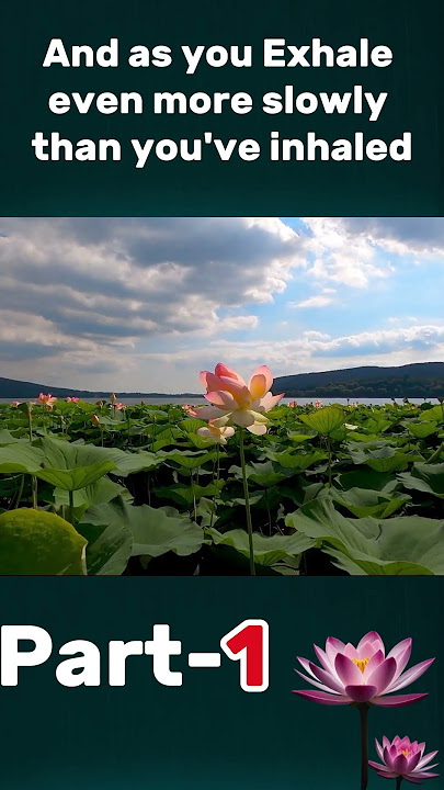 Guided Meditation for Sobriety Success Part 1 #sobrietylife