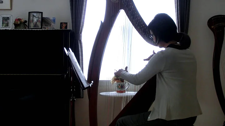 River Flows in You by Yiruma on Egan (Salvi) Harp