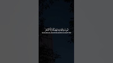 سورة الجاثية [35] Surah Al-Jathiyah [35] @NoCreditQuranOverlay #quran #allah #الله #اسلام #قران