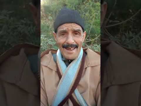 قصة الوصية من التاجر لإبنه مدارش بوصية بااه أجمل قصة قديمة من روائع الأزلية
