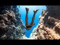 Freediving without wingsuits  the el bells remix