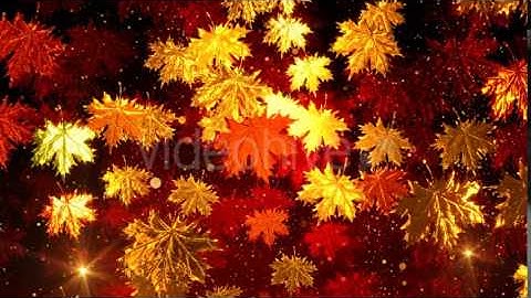 Autumn Leaves Motion Graphics