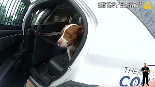 Details Officers Rescue Vicious dog Guide