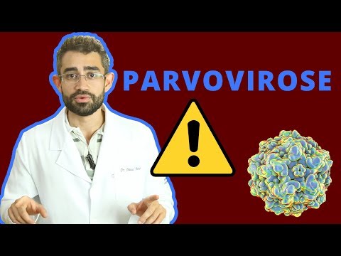 Vídeo: Pergunte a um veterinário: Quando devo levar meu cão ao veterinário? 5 sintomas a tomar a sério