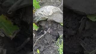 пропавшие безвести на СВО