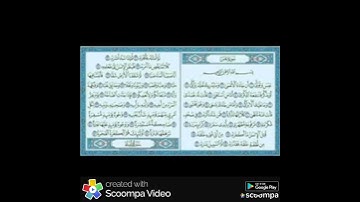 قرآن كريم من سوره عبس القارئ صلاح الصاهود 🌿 🥀 🌱