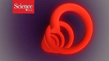 This robot made of algae can swim through your body