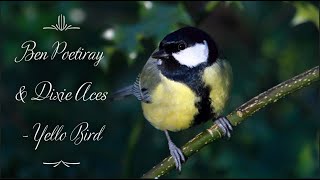 Ben Poetiray & Dixie Aces - Yello Bird (Instrumental)