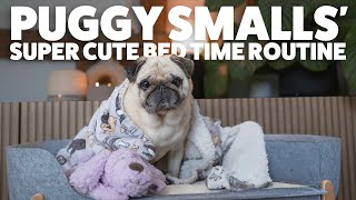 Get your dog to sleep through the night with Puggy's bedtime routine