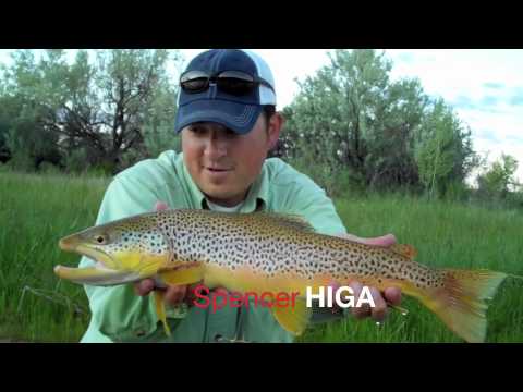 A 23" Brown Trout: Fly Fishing Brown Drake FliesUt...