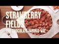 Strawberry Fields the Chocolats Favoris way