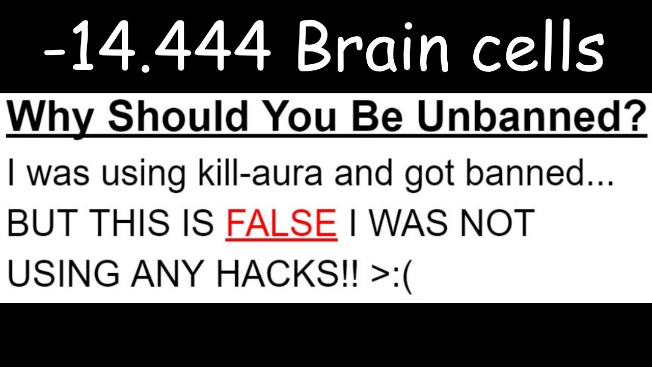 Minecraft Ban Appeals To Damage Your Brain