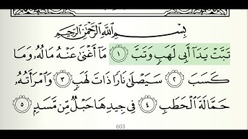 سورة المسد بصوت الشيخ هاني الرفاعي