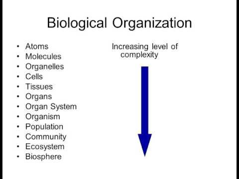 Biology 1010 Lecture 1 Intro to Biology