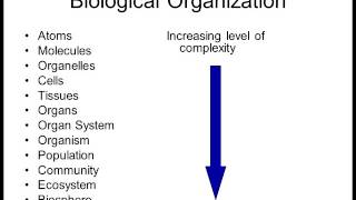 Biology 1010 Lecture 1 Intro to Biology screenshot 2