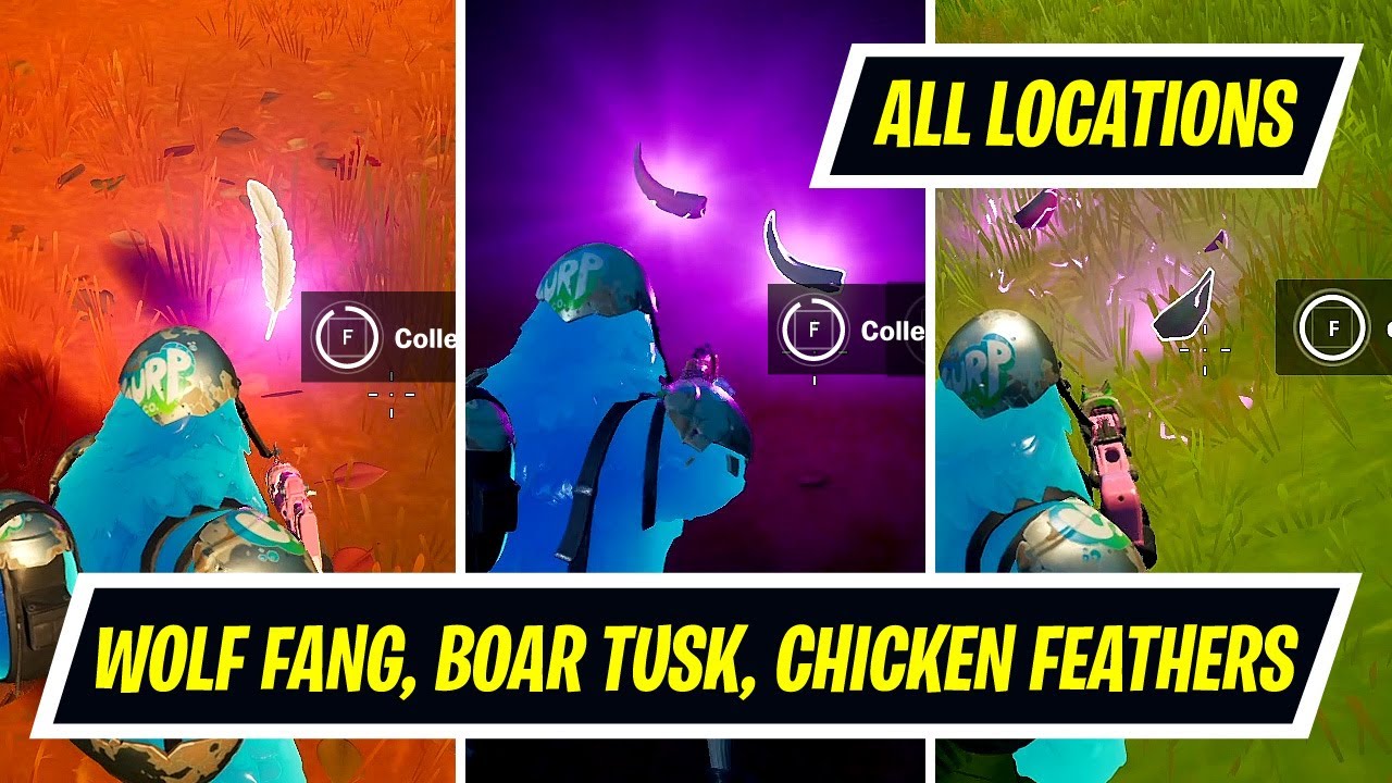 Harvest a wolf fang, a boar tusk, and three chicken feathers for Raz locations - Raz Spire Quest