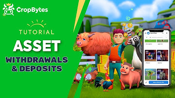 Tutorial - How to Use CB Assets On-Chain