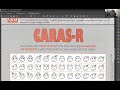 Caras  r  test de percepcin de diferencias