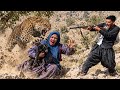 😱 Wild leopard attacks Tayebeh and a baby goat in the Zagros Mountains! 🐆