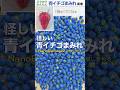 スマホで簡単に作る 怪しい青イチゴまみれ「NanoBanana2」で おもしろ画像作り #smartphone #tech #nanobanana2 #生成AI #google