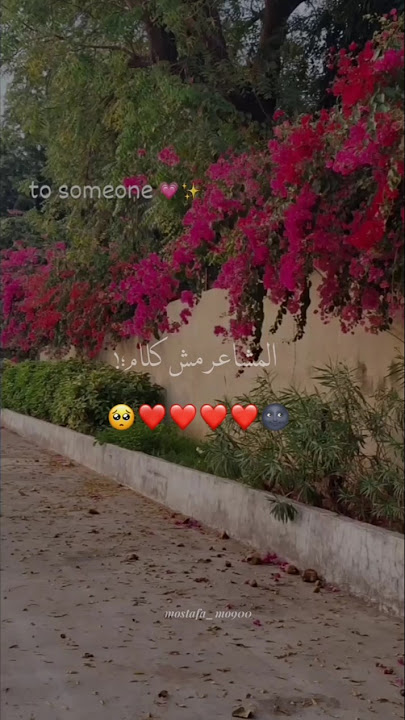 المشاعر مش كلام #تصميمي #foryou #حالات_واتس #بتاعedit