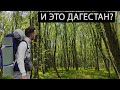 Переночевал один на улице Махачкалы | Тропический лиановый лес Дагестана!