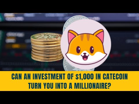   CAN AN INVESTMENT OF 1 000 IN CATECOIN TURN YOU INTO A MILLIONAIRE