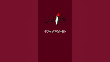 ولينصرن الله من ينصره..لا تقصرون بالدعاء حق فلسطين..❤️❤️‍🩹(سورة الحج احمد النفيس)