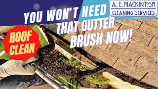 You Won't Need Gutter Brush After I've Cleaned Your Roof! screenshot 4