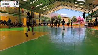 Puma sub14 vs Zenit sub 14 - 15/01/2026