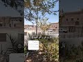 وجاء رجل من المدينه يسعى قال يا موسى ان الملأ ياتمرون ب ك ليقتلوك اشتراك لايك قران اسئلة دينية وجاء رجل من المدينه يسعى قال يا موسى ان الملأ ياتمرون ب ك ليقتلوك اشتراك لايك قران اسئلة دينية